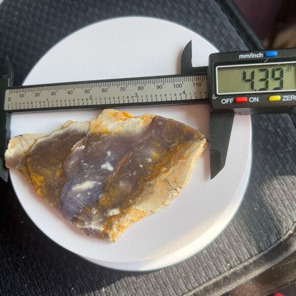 Blue Petrified Wood Freeform Slab (4) - Picture 9 of 10